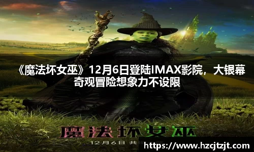 IM电竞官方网站