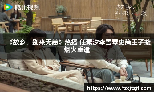 IM股份有限公司