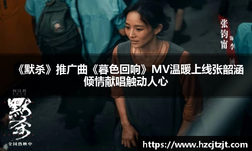 IM股份有限公司